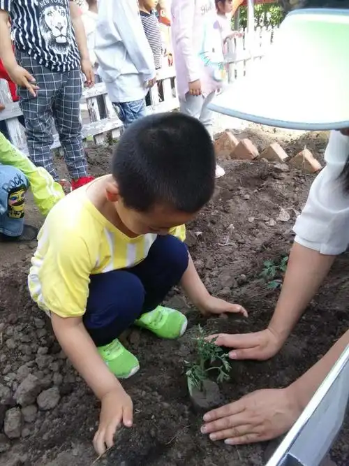 嘉荫县幼儿学校小五班"幸福播种,快乐成长"活动剪影