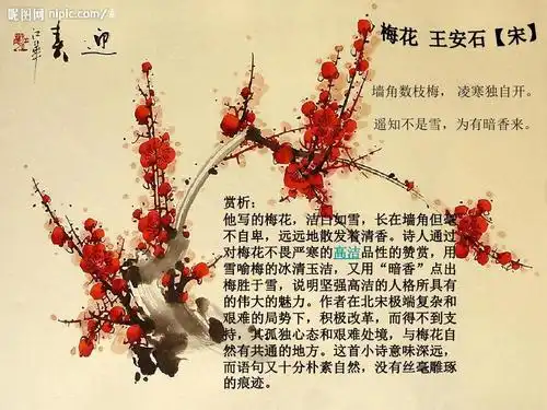古诗中的风花雪月之梅花赏析凌寒独自开【宋】王安石ppt