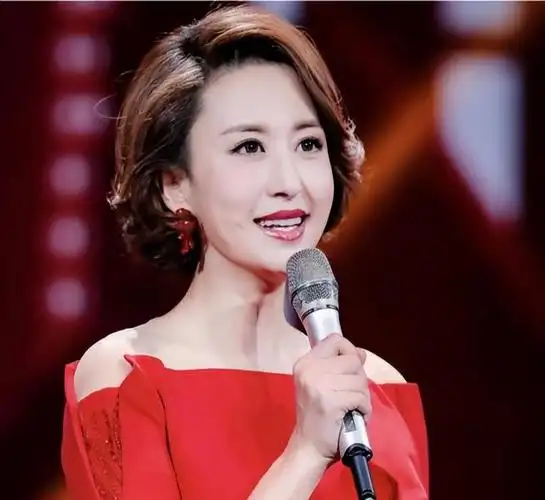 嫁70岁老头坐拥四任丈夫央视主持人私生活的谣言究竟有多离谱