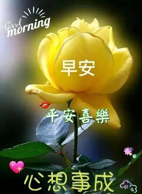 重阳节最新漂亮早上好动态美图鲜花带字早晨好幸福暖心的问候表情图片