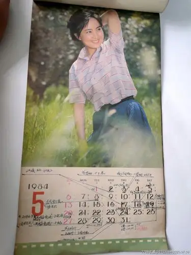 八十年代小挂历