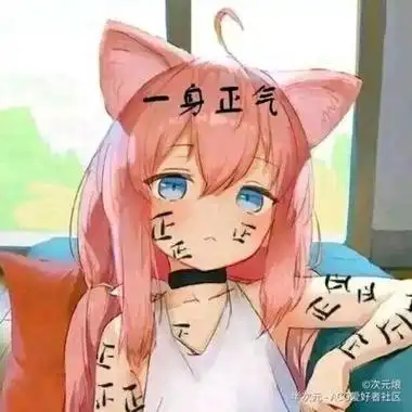 杂图 沙雕 表情包 萌妹 动漫 二次元 正字 一身正气