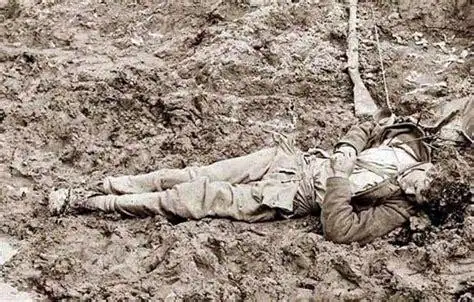 尸横遍野图片女兵战死尸横遍野图片2022已更新今日图集