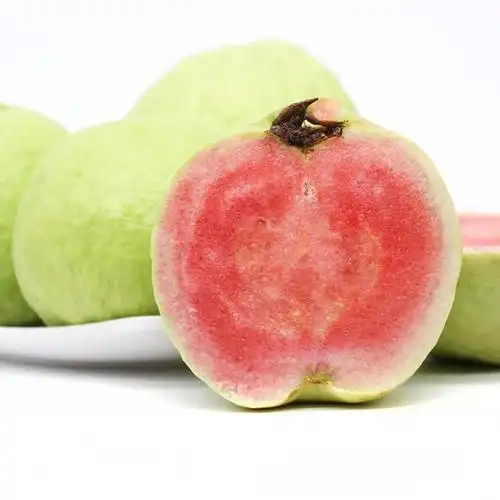 【邮乐农品漳州琯】红宝石芭乐(小果约14-16粒)新鲜现摘2500g/件 zznj