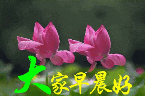 早上好动态祝福图片表情朋友圈早上好问候经典语句