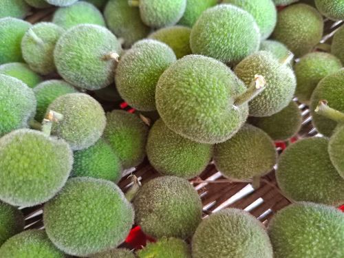 楮实 中药材 构树果红心自然晒干无添加100克构树籽100克