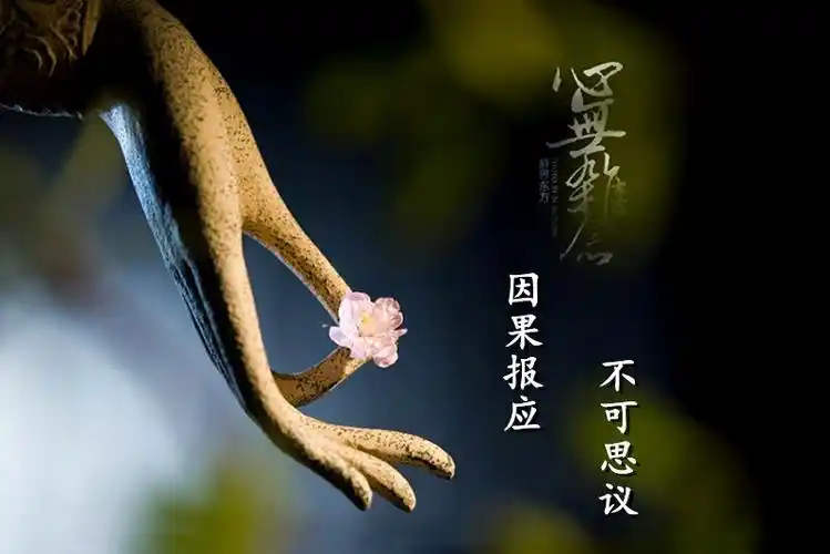 果卿居士一些不可思议的因果报应