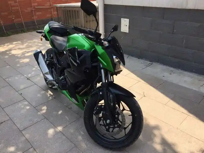 昨儿刚提的14川崎z250,家里不让骑卖了吧全车无磕碰行驶200公里