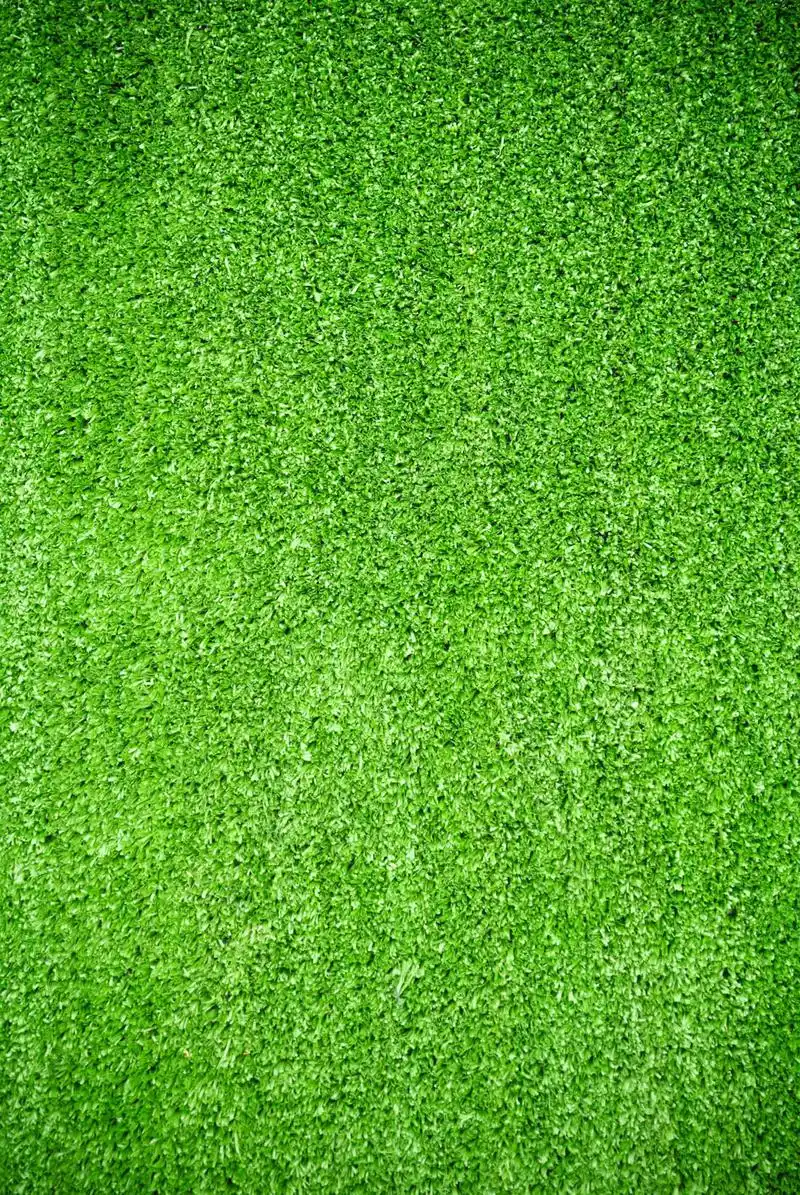 护眼壁纸手机高清绿色绿色高清护眼手机壁纸