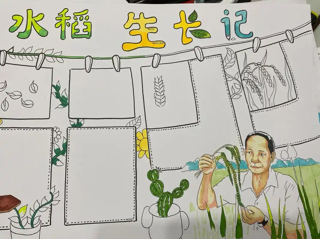 植物生长日记 儿童画 纪念袁隆平老爷爷