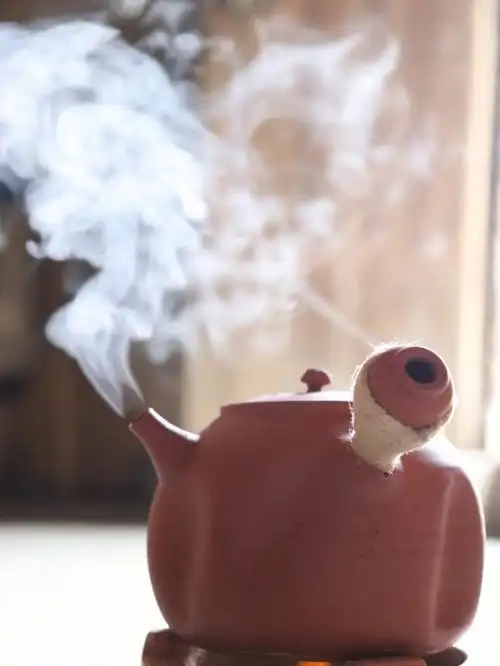 凤凰单丛八仙茶芝兰香喝了会上瘾的茶