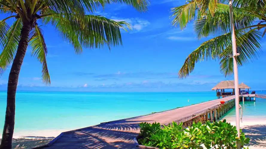 马尔代夫,天空,云,树,桥,景观视野,风光壁纸高清大图预览1920x1080
