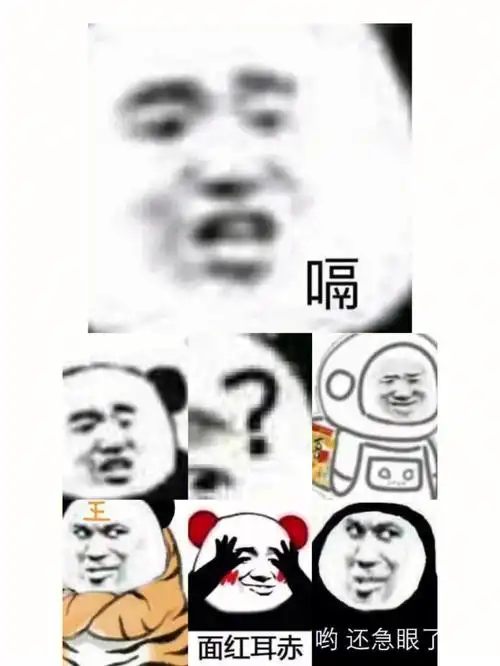 熊猫头表情包2