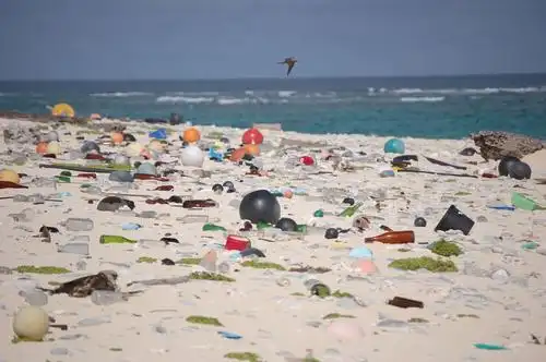 plastic debris washed ashore on the hawaiian island of laysan.