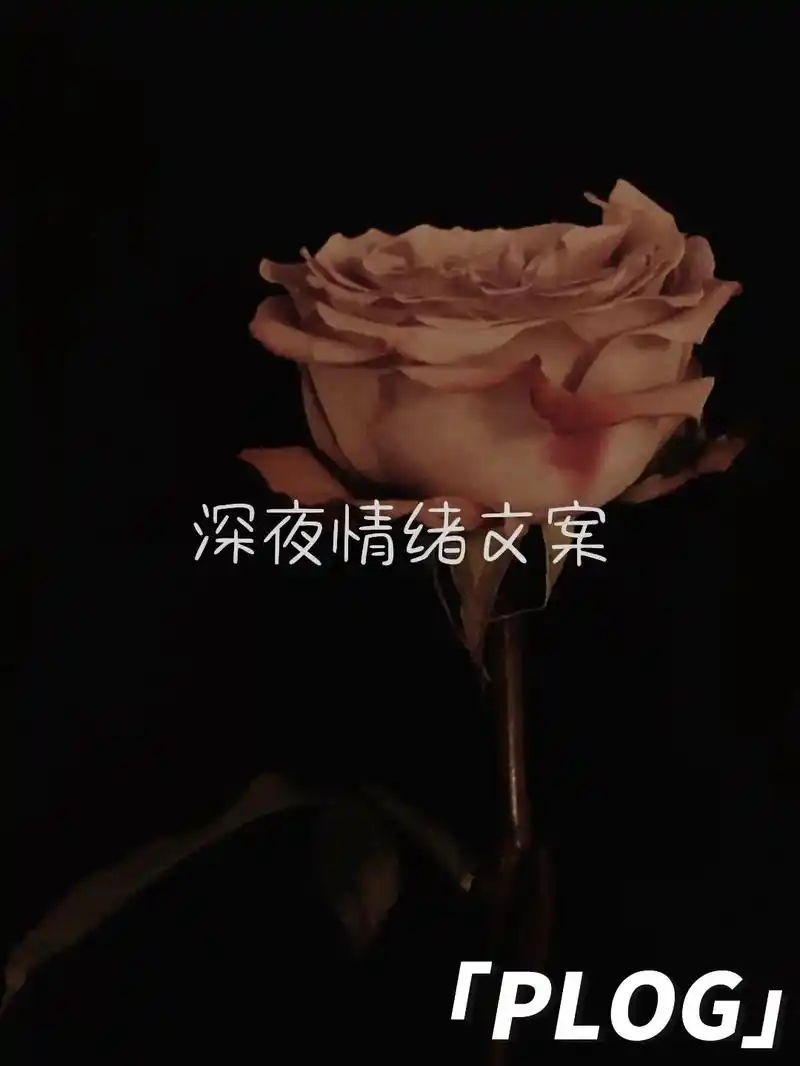 深夜情绪文案一定有说到你心坎的.