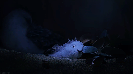 大鸟睡觉困黑暗gif动图_动态图_表情包下载_soogif