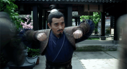 陈龙武功力量拳头gif动图_动态图_表情包下载_soogif