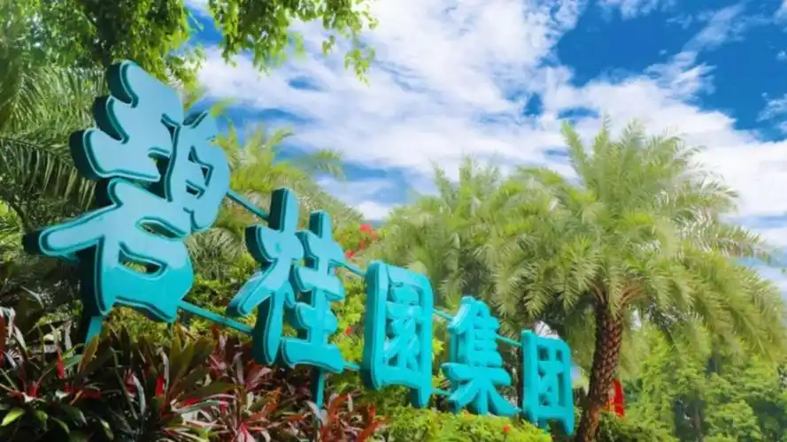 碧桂园发布2022年年度业绩预告,核心净利润为正