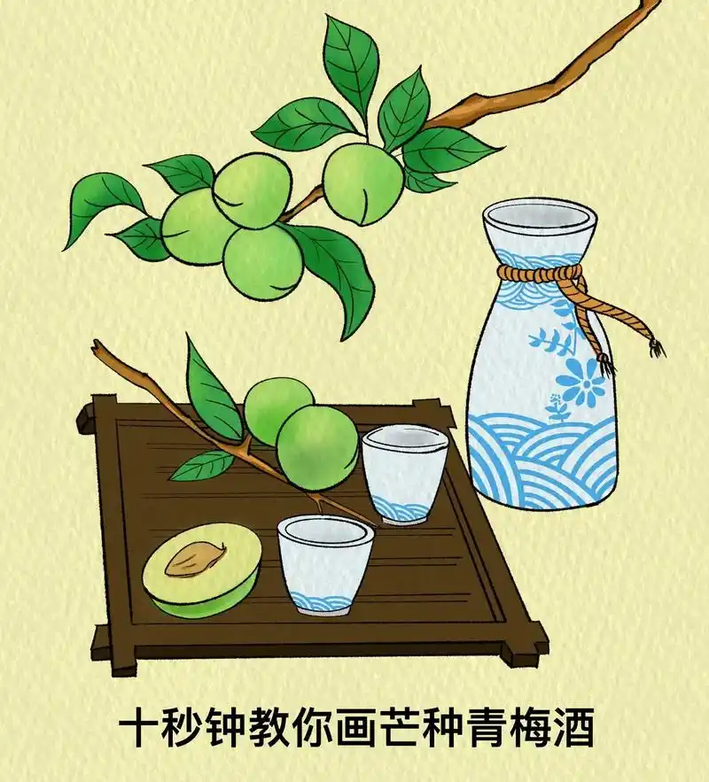 10秒钟教你画芒种青梅酒.祝愿大家在这个芒种时节里,都能播种 - 抖音