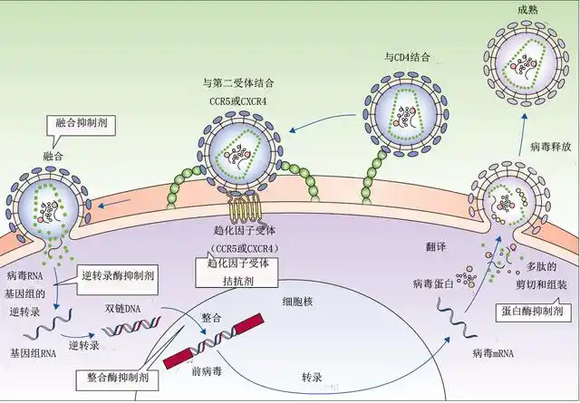 病人能不能买寿险 定寿险要不要买