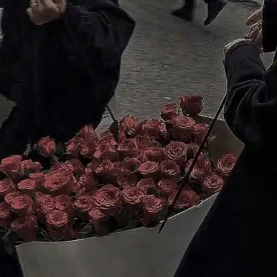 黑色高质ins背景图