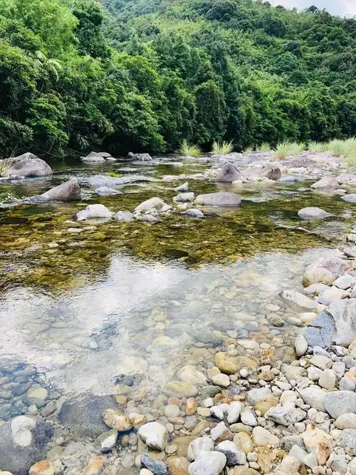 惠州这地方玩水真爽!没什么人,溪水清澈冰凉,开车直达又不收费
