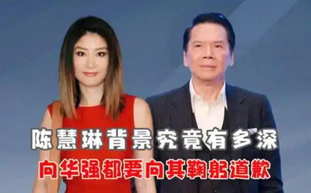 刘建浩:我那"大杀四方"的妻子陈慧琳,退出娱乐圈后,更牛了!