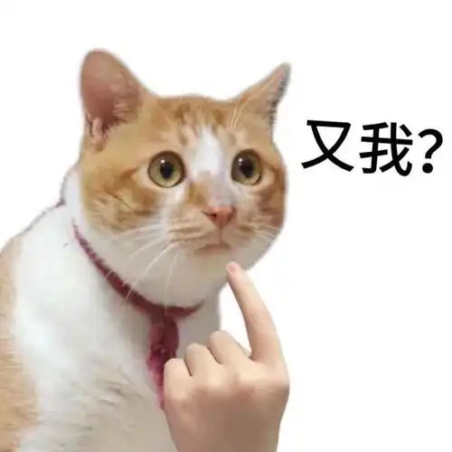 分享一些搞笑实用表情包合集