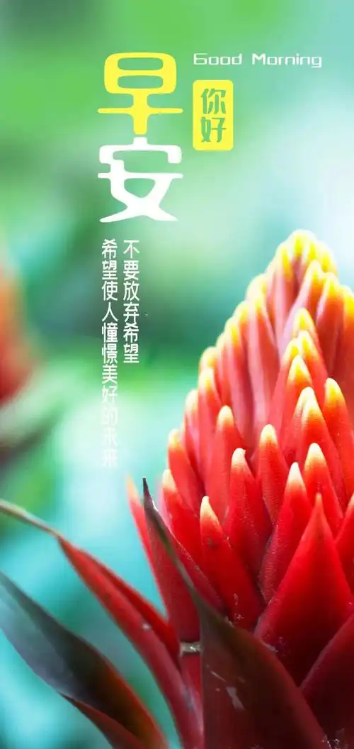 朋友圈早上好励志阳光问候语带图:要内心温柔,安静努力