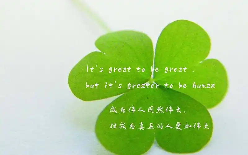 文字控唯美小清新宽屏桌面壁纸