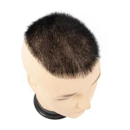 男士假发郭德纲老师同款中老年发型小短发简单好打理光头款 椭圆形16*