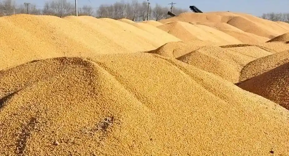 不规则形状粮堆体积的测量是粮食行业的难点,影响到粮食库存数量的