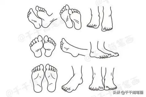 美女的脚丫子简笔画