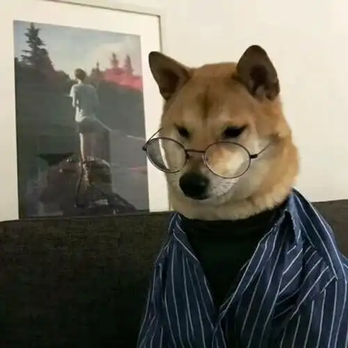 萌宠搞怪动物头像卖萌可爱的萌宠搞怪头像高清图片