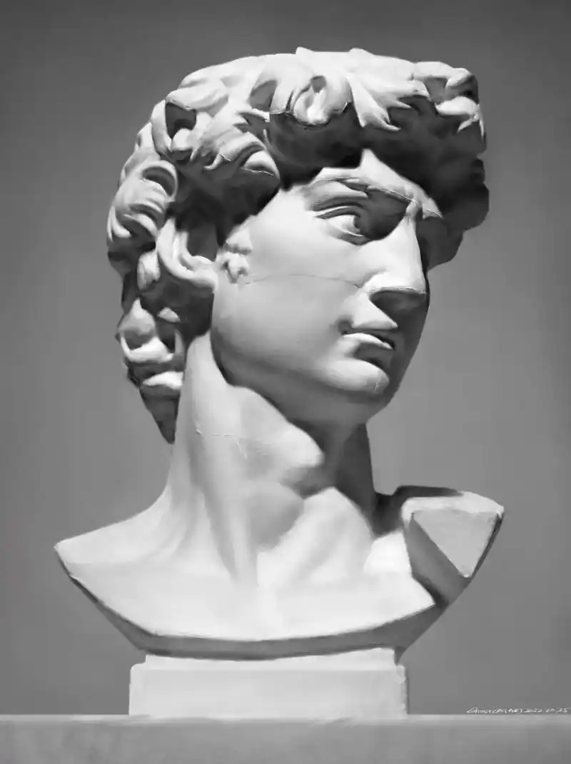 石膏练习.大卫,求求别删了…我就想记录下#板绘 #石膏像素描 - 抖音