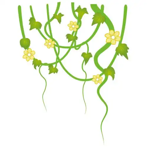 手绘藤蔓植物2