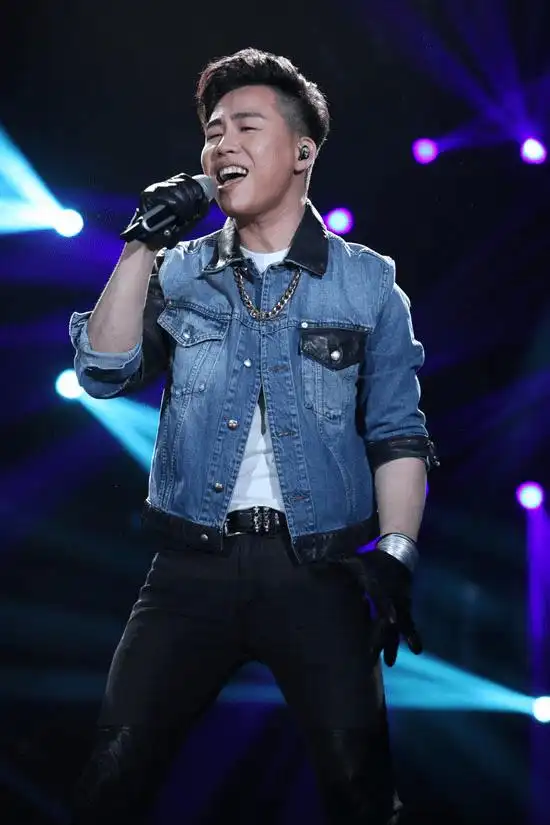 内地十大最具影响力男歌手,个个特色鲜明