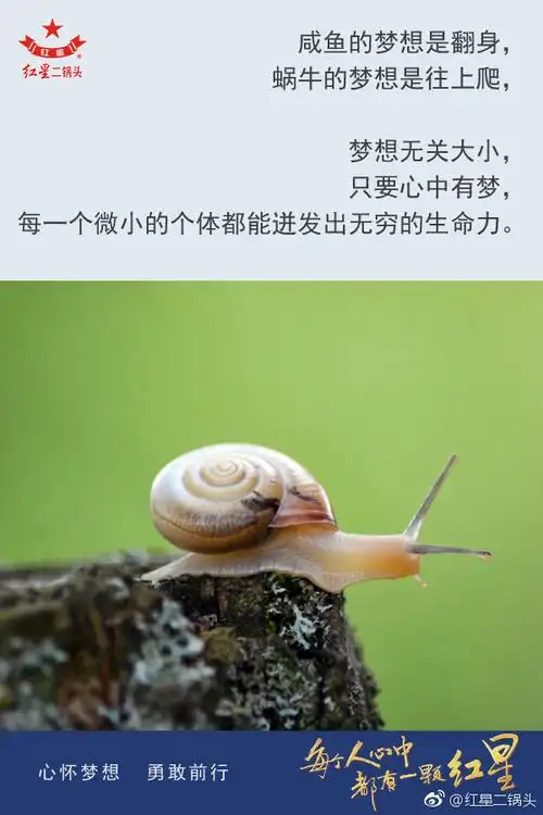 心怀梦想 勇敢前行#咸鱼的梦想是翻身,蜗. 来自红星二锅头 - 微博