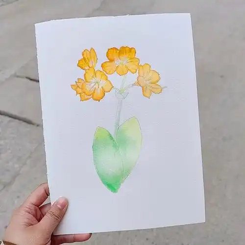 水彩画初学水彩画花