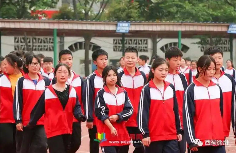 铜山区柳新镇中心中学举行青春飞扬放飞梦想14岁青春成长仪式