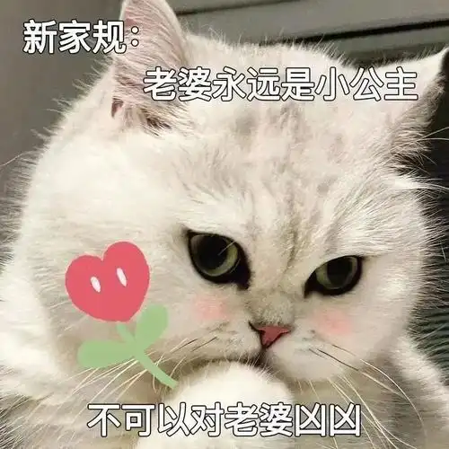 表情包  #情侣  #可爱表情包  #表情包分享 #我最爱的表情包