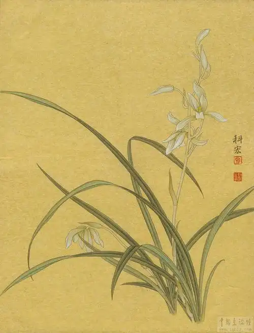 李科宏工笔作品集   【中国工笔画论坛】