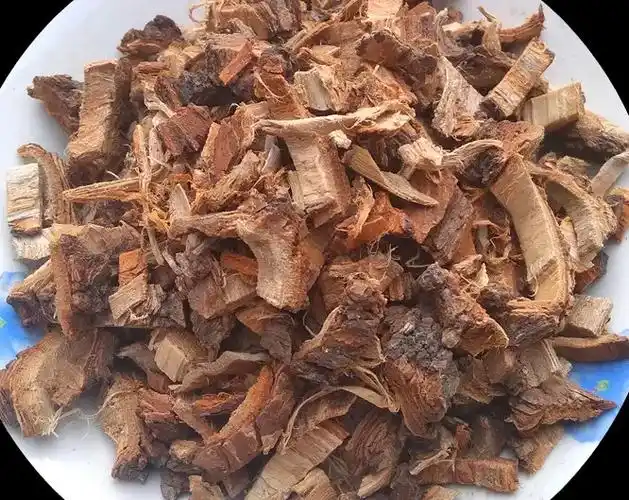 榆树皮的功效与作用 榆树皮能治皮肤病吗