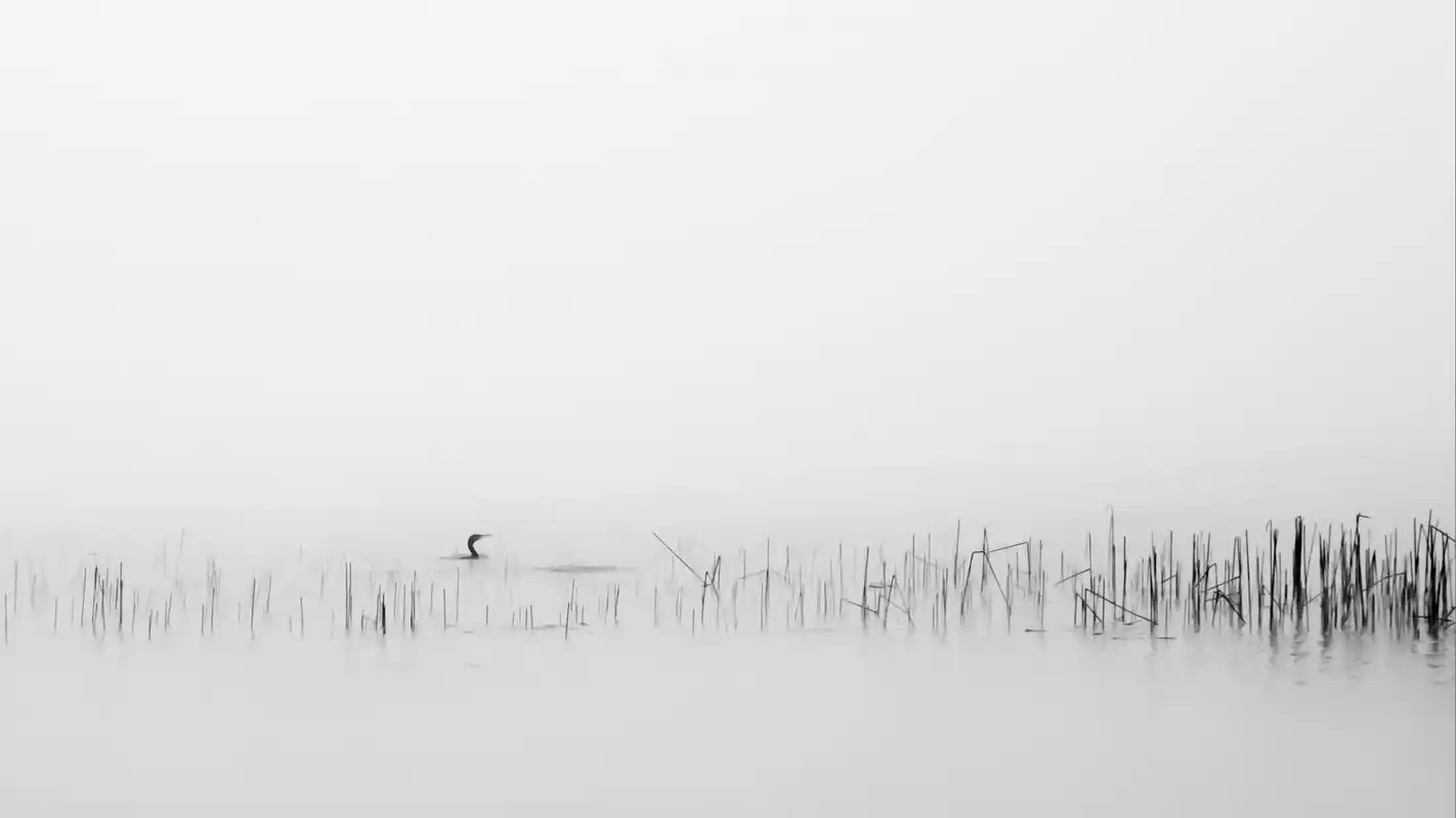 极简清新的高清宽屏桌面壁纸