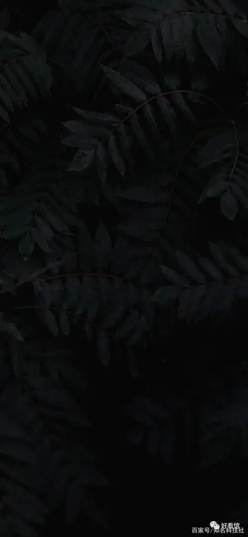 黑色系列壁纸 高清黑色背景图片 纯黑色手机壁纸「第30期」
