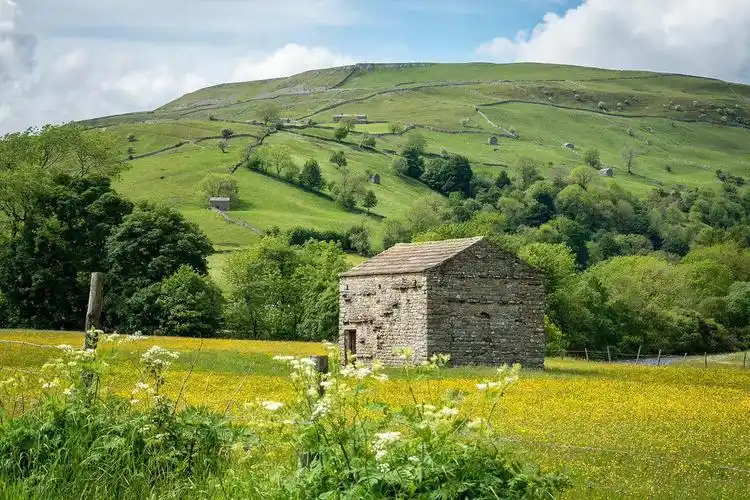 生活美学郊外的春天乡村农场的快乐生活