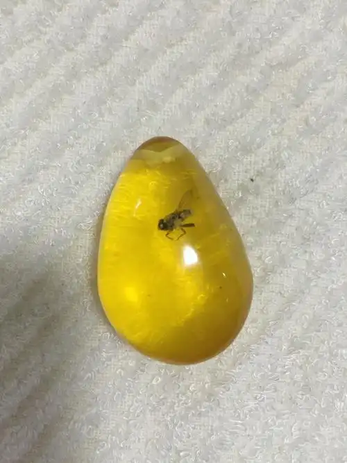 琥珀里面有一小蜂子,大概7mm长,2mm宽吧,金黄色,里面还有几个红点,值