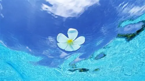 唯美夏天海边素材桌面壁纸高清大图预览1600x900_风景壁纸下载_美桌网