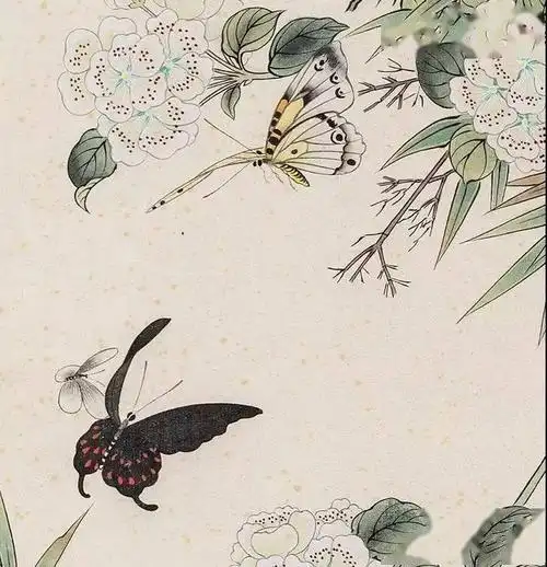 国画蝴蝶纸上来,感觉蝴蝶在动,太逼真了