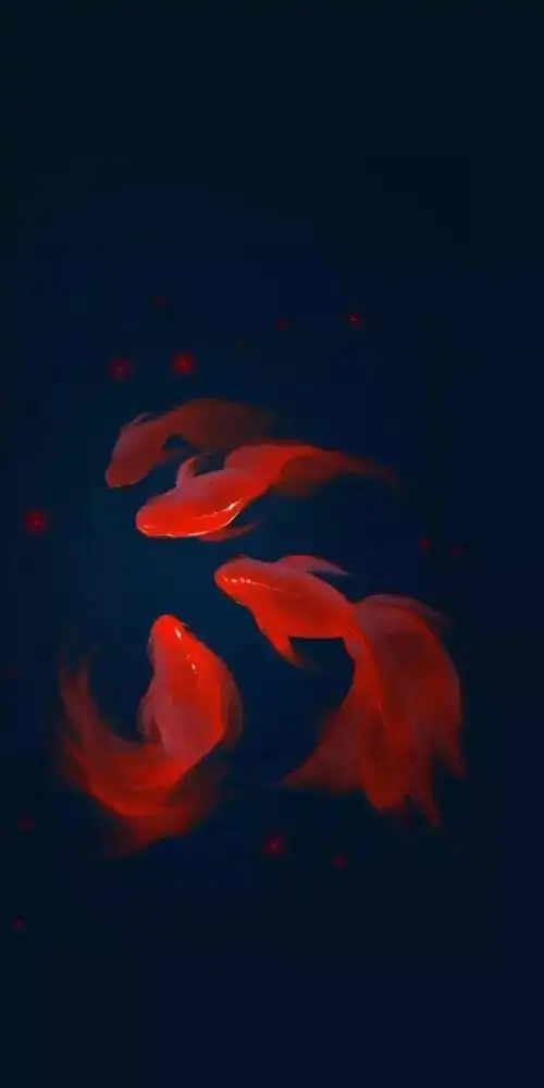 壁纸| 好运锦鲤壁纸,速速换上